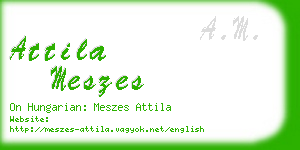 attila meszes business card